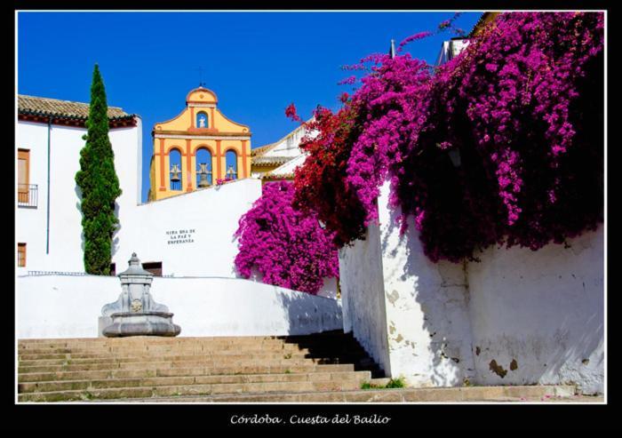 Centro Historico Cristo De Los Faroles La Preferida قرطبة المظهر الخارجي الصورة